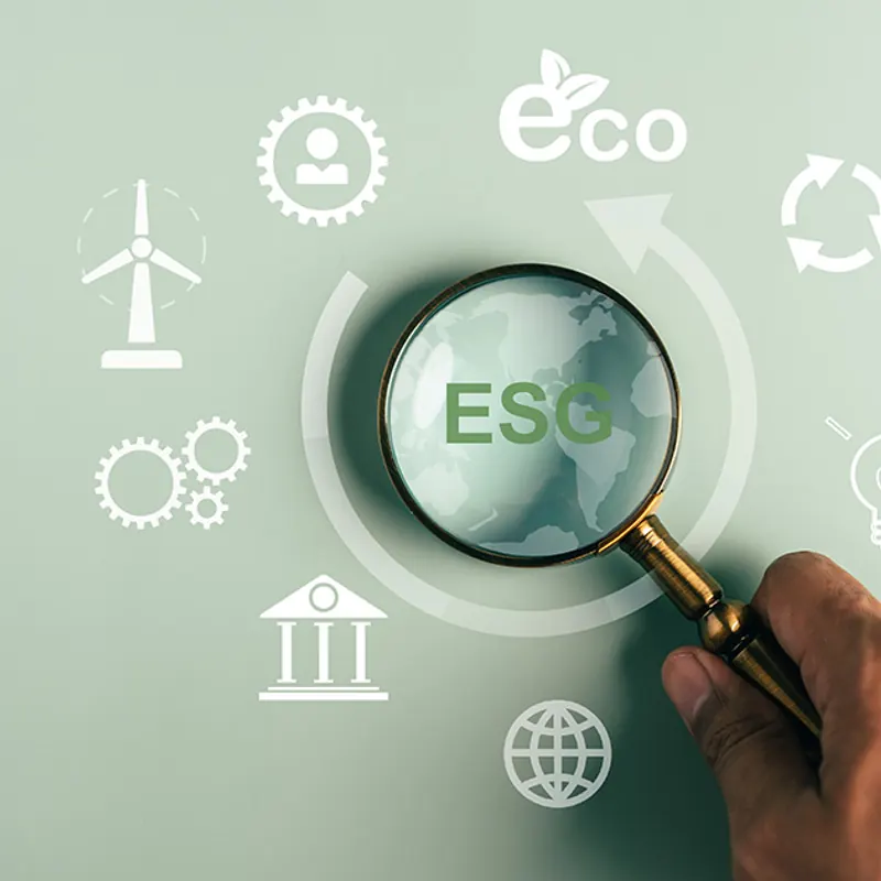 Илустрација за услугата ESG Стандардизација